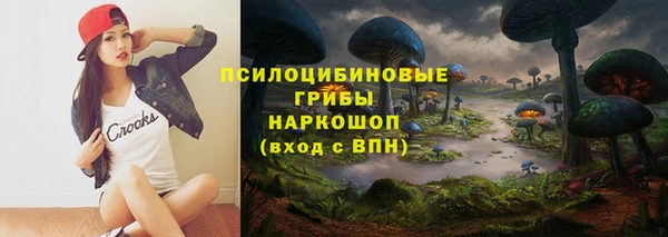 дурь Билибино