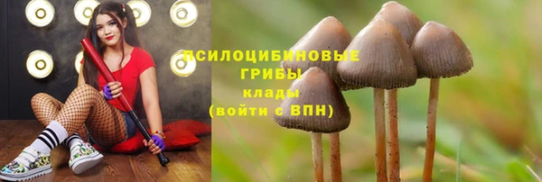 дурь Билибино
