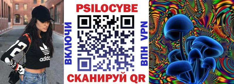 закладки  Болгар  Галлюциногенные грибы мицелий 
